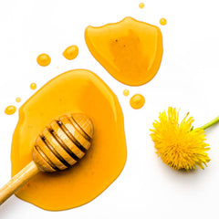 Petal Fresh Restoring Honey & Coconut Oil Body Butter | With Coconut, Shea & Honey | For Silky smooth Skin Touch - Intense Hydration | Vegan & Cruelty Free | 8 oz, 237 Ml