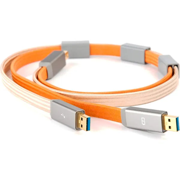 iFi Audio Gemini 3.0 Dual-Headed USB Audiophile Cable, Separate Power & Data Lines, Ultra-Low Noise USB 3.0 Interconnect for DACs, Hi-Fi Audio Systems & Streamers