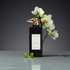 Trussardi Musc Noir Perfume Enhancer Eau De Parfum 100ml