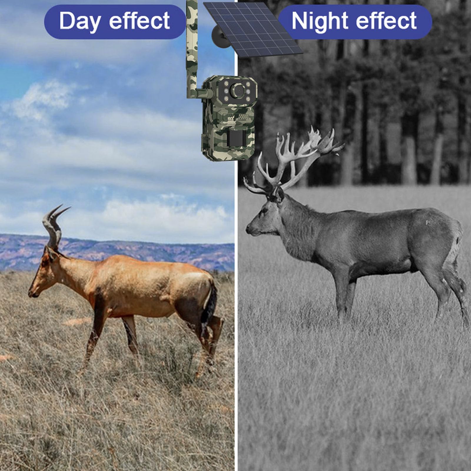 4K Wi-Fi Trail Camera 4G LTE 120° Wide Angle 14MP Motion Detection Night Vision IP66 Waterproof 4G LTE Game Hunting Camera with Solar Charging Panel for Outdoor