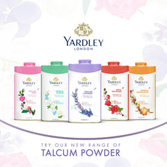 Yardley English Rose Perfumed Talcum Body Powder, All Day Fragrance, Soft And Feminine Freshness- 250 Gm