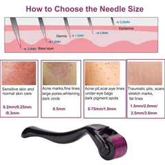 540 Titanium Microneedle Derma Roller Skin Care for Face Facial Wrinkles Hair Loss Stretch Marks Hair Regrowth Micro Needles Professional Microneedling Derma Needling Kit with Case,0.3mm