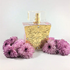 Lace Eau de Parfum by Tru Western, Perfumes for Women - Fruity Floral Fragrance for Women with notes of Citrus, Musk, Rose and Jasmine - 1.7 oz 50 mL