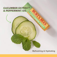 Burt's Bees 100% Natural Origin Moisturizing Lip Balm, Multipack, Original Beeswax, Cucumber Mint, Coconut & Pear and Vanilla Bean with Beeswax & Fruit Extracts, 4 Tubes