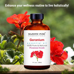 Majestic Pure Geranium (Pelargonium Asperum) Essential Oil Therapeutic Grade, 2 fl.Oz