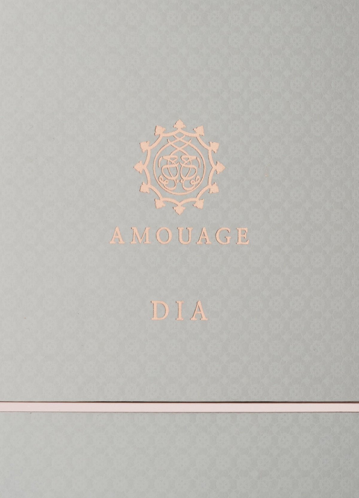 Amouage Dia for Women, 100 ml - EDP Spray