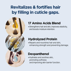 Anti Hair Loss Fast Care Hair Shampoo 16.90 fl. oz.(500ml)- Volumizing Shampoo for Damaged Thinning Hair and Hair Loss with 17 types of amino acids and protein complex | Fortifies & Strengthens Hair