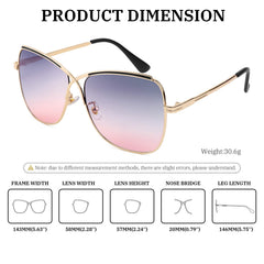 FEISEDY Womens Pilot Sunglasses Oversized Butterfly X Shape Design Cateye Cute Lady Sunglasses B2738