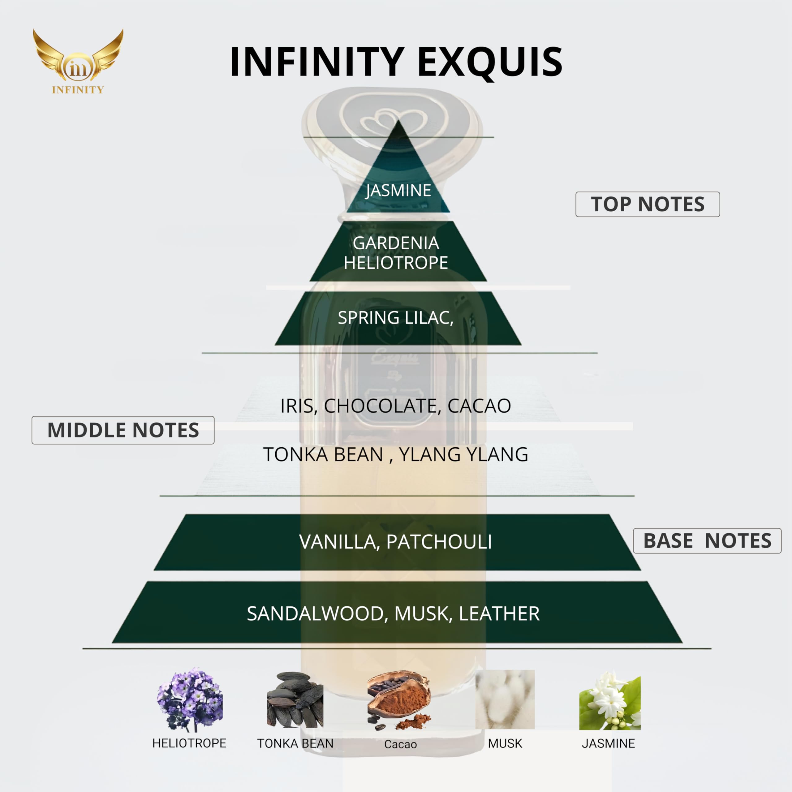 INFINITY EXQUIS Eau de Parfum - 100ml | The Essence of Elegance