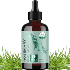 Maple Holistics Certified Organic Rosemary Oil for Hair - Extra Large 100% Pure USDA Organic Rosemary Essential Oil for Hair Skin and Nails - Oil for Dry Scalp Treatment and Enhanced Volume and Shine - 4 Fl Oz (Pack of 1)
