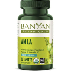 Banyan Botanicals Organic Amla Tablets Natural Vitamin C for Collagen Support & Immune Health Amalaki Indian Gooseberry for Glowing Skin, Hair & Healthy Digestion 90 Tablets Non GMO, Vegan