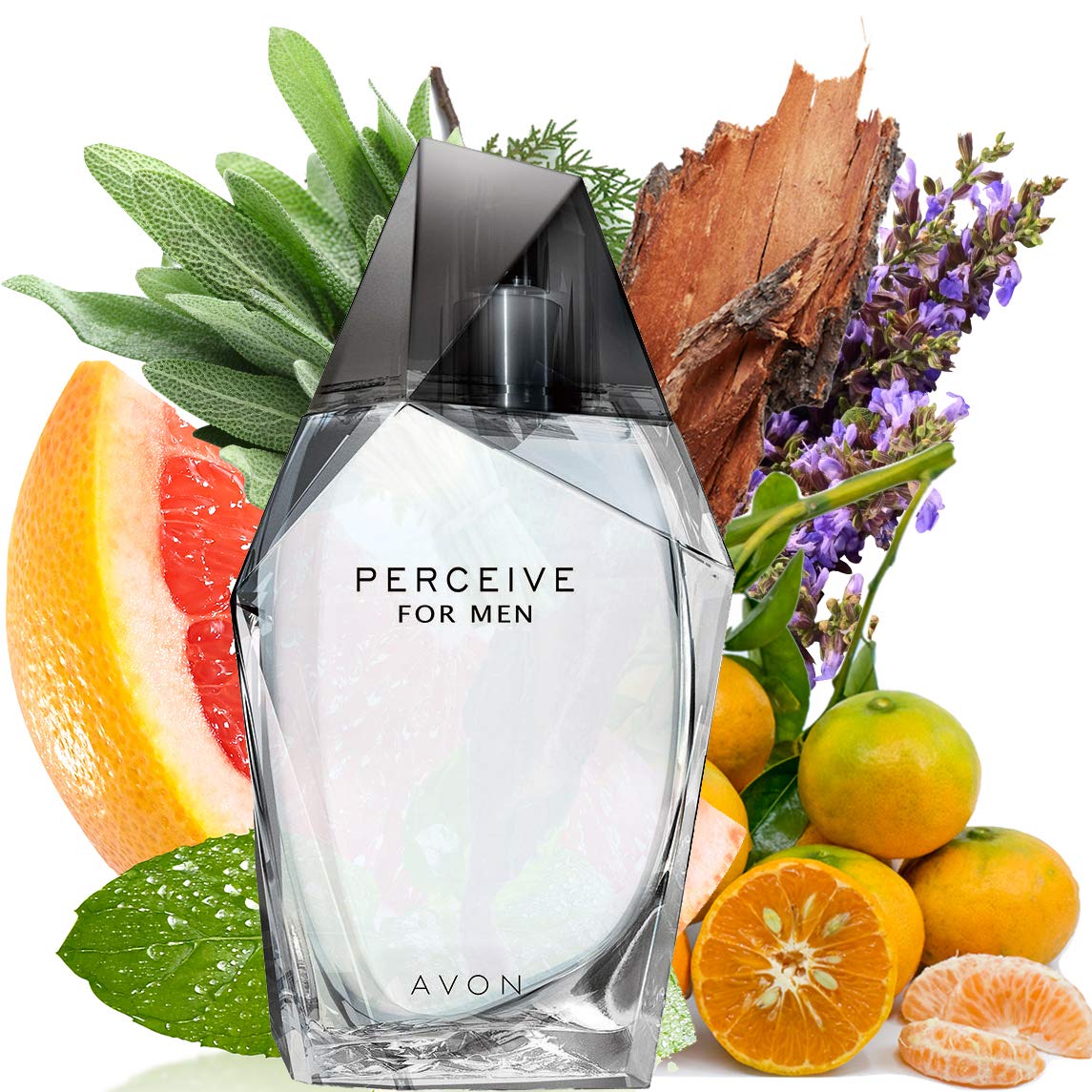 Avon Perceive for Him Eau de Toilette Spray 100 ml
