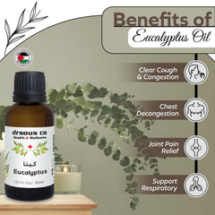Drsous Ca Organic Eucalyptus Oil for Diffuser 30ml | 100% Pure and Natural Cold Pressed Eucalyptus Essential Oil for Aromatherapy, Skin care, and Muscle Relief | Made in Palestine