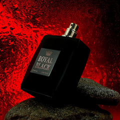 SOFT TOUCH Royal Black Eau De Perfume Aromatic Fragrance for Men UAE Perfumes 100ML