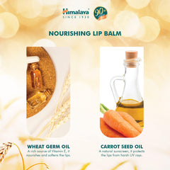 Himalaya Since 1930 Nourishing Lip Balm Repairs dry and chapped lips Contains essential nourishment of vitamin E- 10g