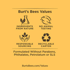 Burt's Bees Coconut and Pear and Mango Lip Balm