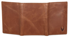 WildHorn Brown Men's Wallet - TAN