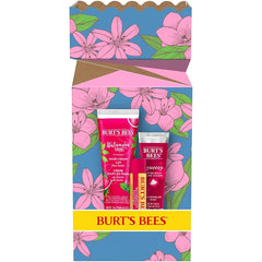 Burt's Bees Mothers Day Gifts for Mom, 3 Self Care Products, You're One in a Melon - Watermelon & Mint Hand Cream, Watermelon Lip Balm & Watermelon Rush Squeezy Tinted Lip Balm (Packaging May Vary)