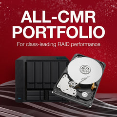 Seagate IronWolf, Pro 16TB, Enterprise Internal NAS HDD – CMR 3.5 Inch, SATA 6GB/s, 7,200 RPM, 256 MB Cache for RAID NAS - Frustration Free Packaging (ST16000NTZ01)