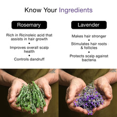 Soulflower Rosemary Lavender Oil for Healthy Hair, Scalp, Hair Roots - 100% Pure & Natural Undiluted Coldpressed Oil, 225ml