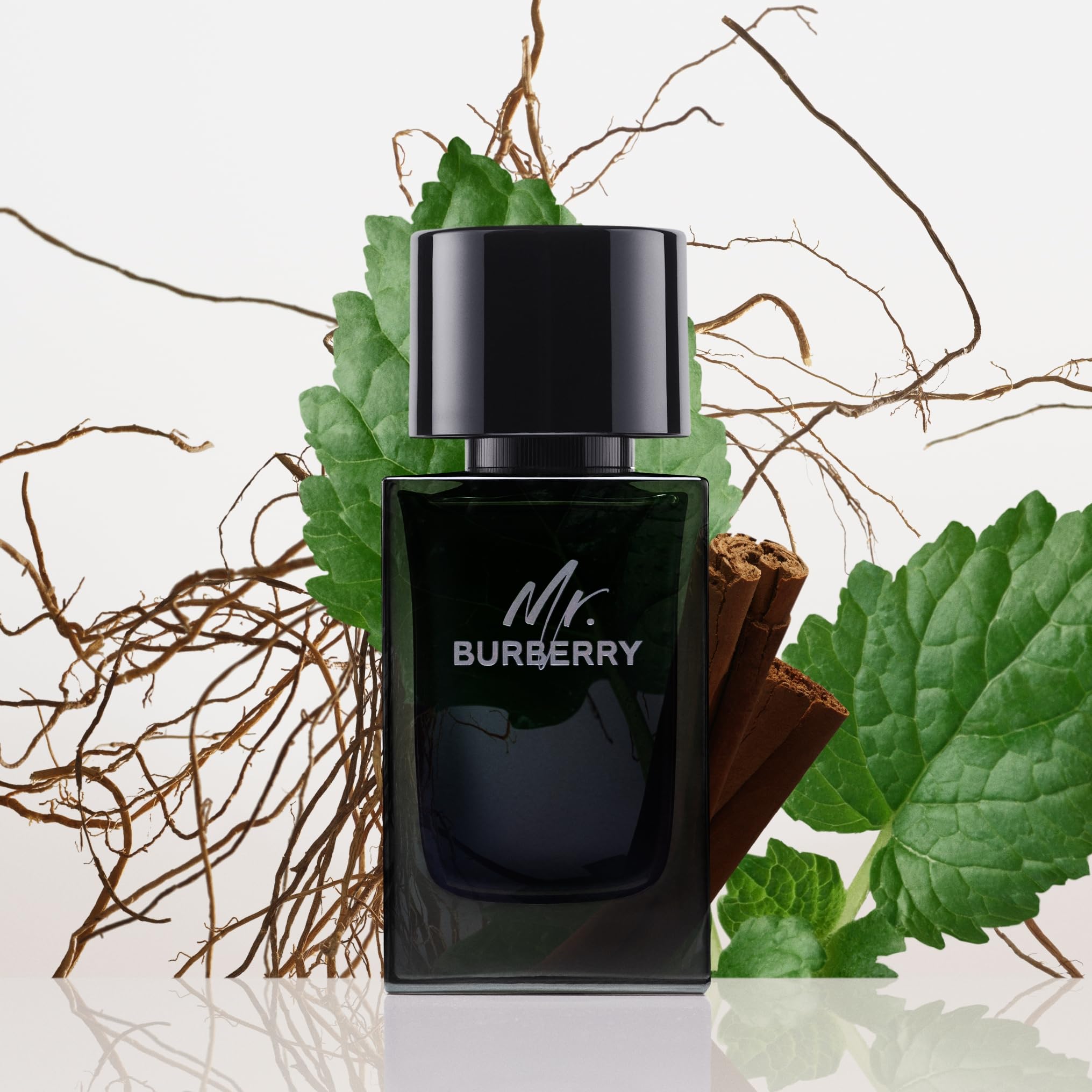 Burberry Perfume - Mr. Burberry by Burberry - perfume for men - Eau De Parfum, 50 ML