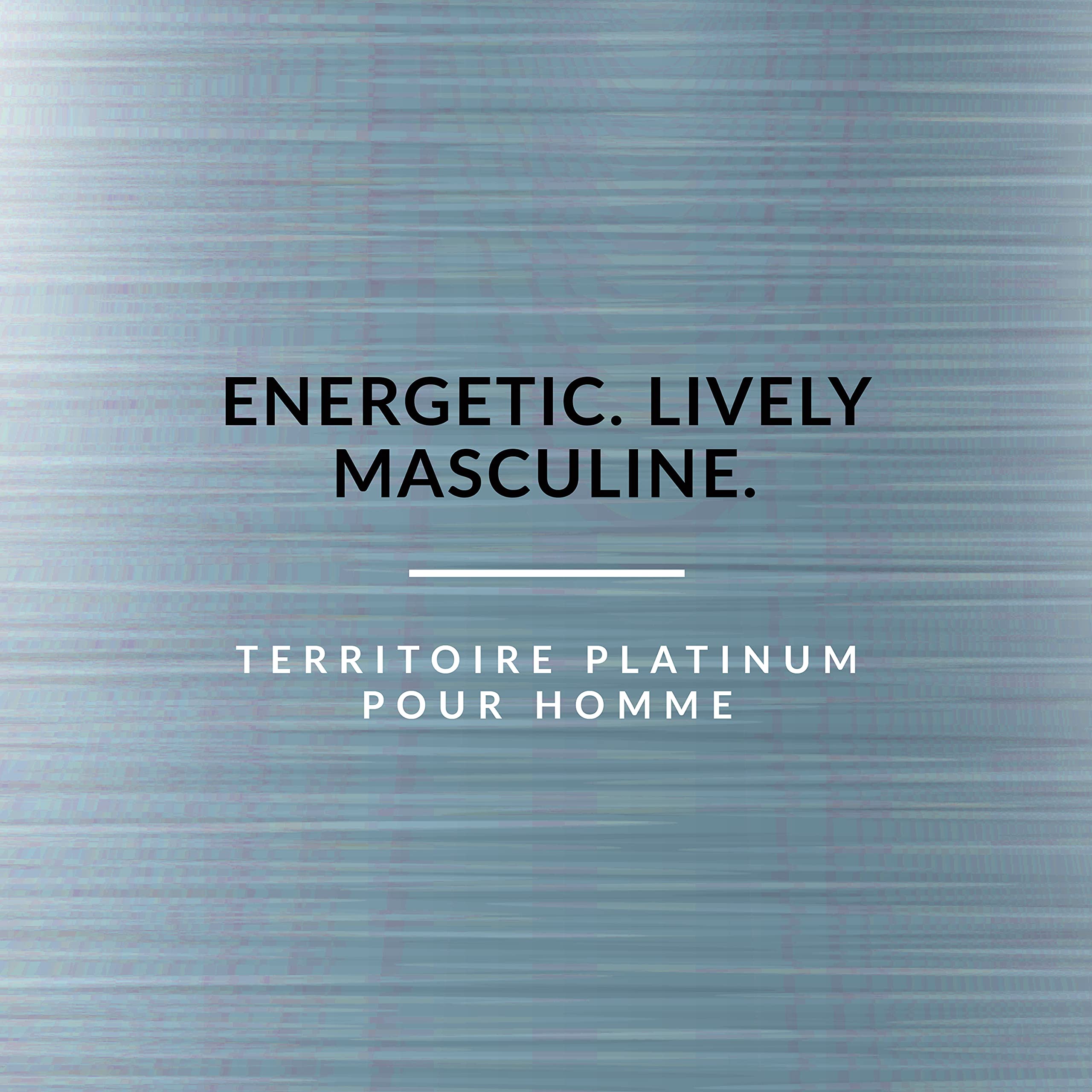 Yzy Territoire Platinum By Yzy, 3.4 Oz Eau De Parfum Spray For Men