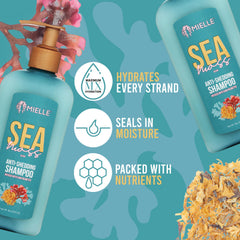 Mielle Organics Sea Moss Anti-Shedding Shampoo 8oz.