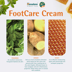Himalaya Herbals Foot Care Cream | Dry & Cracked Heels | With antiseptic & moisturizing benefits- 75g