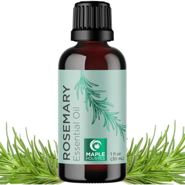 Maple Holistics Pure Rosemary Oil for Hair Skin and Nails - 100% Pure Undiluted Rosemary Essential Oil with Dropper for Topical Uses Aromatherapy Diffusing and Home and Beauty DIYs - Vegan and Cruelty Free (1 Fl Oz)