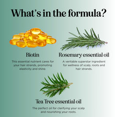 Biotin Rosemary Shampoo for Hair Growth - Vegan Sulfate Free Rosemary Biotin Shampoo for Thinning Hair and Hair Loss with Volumizing Rosemary Essential Oil for Fine Weak & Dull Hair (16 Fl Oz)