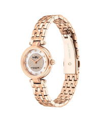 COACH PARK WOMEN's SILVER WHITE DIAL WATCH - 14503736