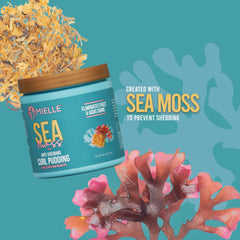Mielle Organics Sea Moss Anti-Shedding Curl Pudding