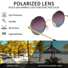 Joopin Round Polarized Sunglasses for Men Women, UV Protection Sun Glasses Small Circle Hippie Lennon Shades Sunglasses