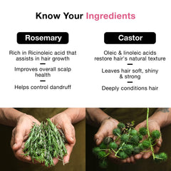 SOULFLOWER ROSEMARY CASTOR HAIR OIL FOR HAIR GROWTH, HAIRFALL CONTROL, FOR DRY, DAMAGED, CURLY, COILY, FRIZZY & BEARD HAIR - 100% PURE, VEGAN, CLINICALLY PROVEN, ECOCERT COSMOS CERTIFIED, 6.77 FL OZ