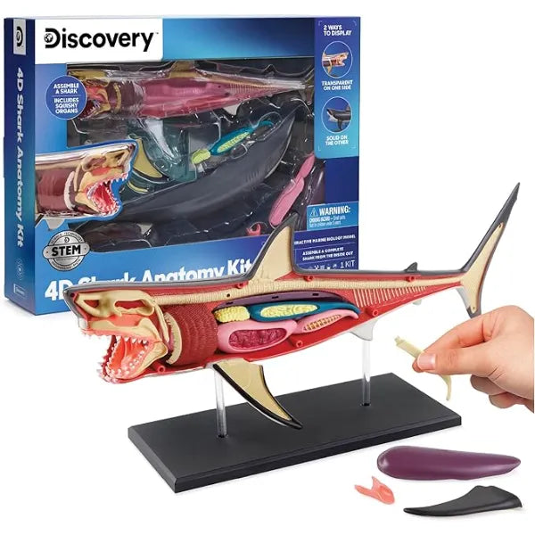 Discovery 4D Shark Anatomy Kit Interactive Model Building Set with Display Stand STEM Biology Science Kit Fun Activity Puzzle Ocean Sea Creature Figurine Educational Learning Toy Ages 6+