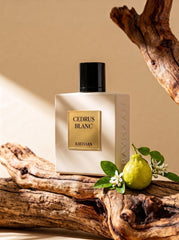 Rayhaan Cedrus Blanc Eau de Parfum, 100 ml | Cedar Scent, Unisex Fragrance, Gold Accent Bottle, Arabic Perfumery, Long-Lasting Wear