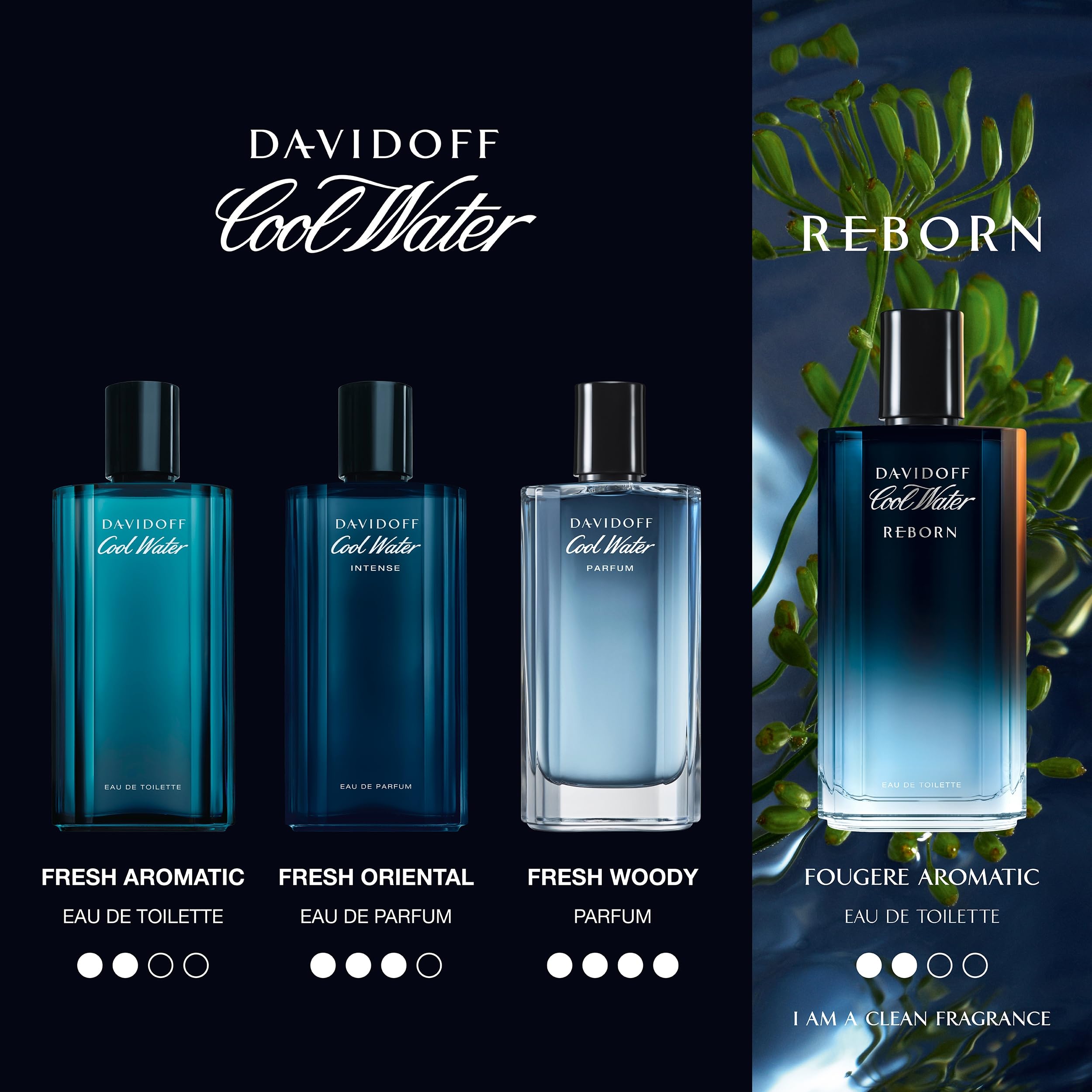 Davidoff Cool Water Reborn Perfume for Men Eau De Toilette 125ML