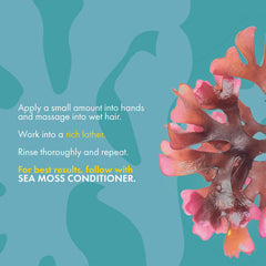 Mielle Organics Sea Moss Anti-Shedding Shampoo 8oz.