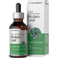 Horbäach Mullein Leaf Extract Drops 2 fl oz Alcohol Free Liquid Tincture Vegetarian, Non GMO & Gluten Free Herbal Supplement