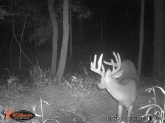 Wildgame Innovations Cloak LIGHTSOUT 24MP HD Photo, 720P Video, 75 Ft. Illumination Range, 3/4 SEC. Trigger Speed, Includes 8X AA Batteries, 1 Count (Pack of 1)