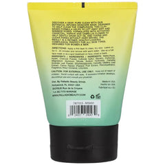 Palladio Calm Clean Pure Detoxifying Charcoal Face Mask, Deep Cleans Skin, Visibly Reduces Pores, Refreshes Skin, Removes Oil that leads to blackheads, Black Mask, Made with Papaya & Camellia, 3.5 oz