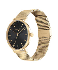 Calvin Klein MODERN MESH Men's Watch, Analog - Gold / Black