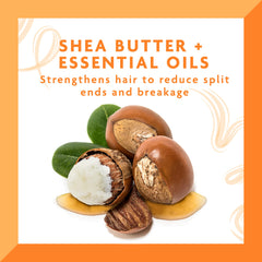 Cantu Shea Butter Daily Oil Moisturizer, 13Oz (384Ml)
