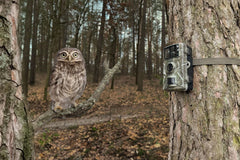 Technaxx Germany Wildlife Camera with Motion Activated, 20MP 1080p Hunting Camera with Night Vision IP66 Waterproof,Super Fast Trail Cam for Wildlife Monitoring Deer Scouting Hunting Property Security