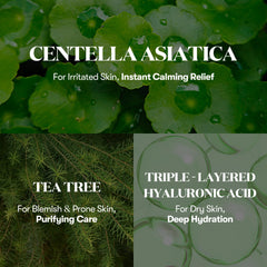 VT COSMETICS Cica Cream Plus | Hydrating & Calming Face Moisturizer with Centella Asiatica, Lightweight Soothing Cream for Acne, Oily, Dry and Sensitive Skin, Korean Skincare for acne prone skin