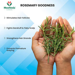 Rosemary Water Shampoo, Anti-Hairfall, Thickens & Strengthens Hair, Paraben-Free, 200ml