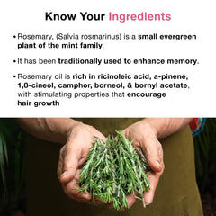 SOULFLOWER ORGANIC ROSEMARY OIL FOR HAIR GROWTH, HAIRFALL CONTROL & SCALP NOURISHMENT, 100% PURE ESSENTIAL OIL, ECOCERT COSMOS CERTIFIED, 30ML/ 1 FL OZ