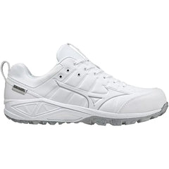 Mizuno Ambition 2 Surface men's  Shoes