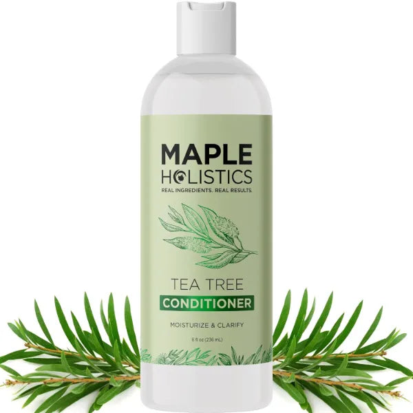 Maple Holistics Tea Tree Conditioner for Dry Hair - Tea Tree Oil Conditioner for Oily Hair and Sulfate Free Conditioner for Dry Hair - Cleansing Conditioner