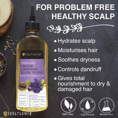 Soulflower Scalp Nourishment Hair Oil with Blend of Castor, Lavender, Ylang Ylang Oil for Hair Fall Control, Scalp, Hair Nourishment - 100% Pure, Organic, Natural Cold pressed Oil - 6.77 Fl.Oz
